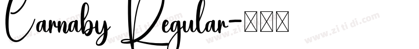Carnaby Regular字体转换